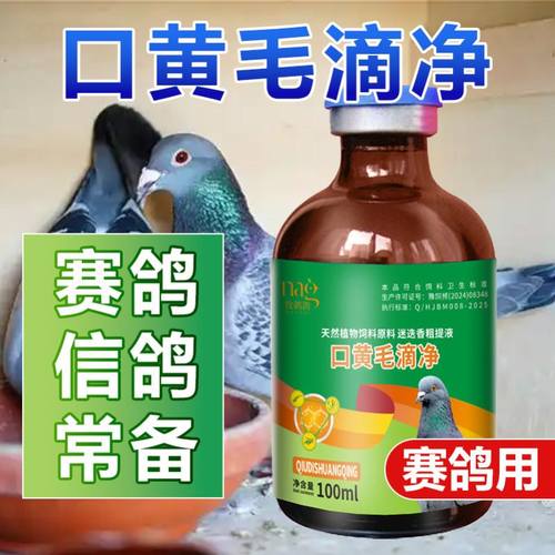 鸽子毛滴专用 口腔净鸽用 鸽子口黄净 赛鸽幼鸽毛滴