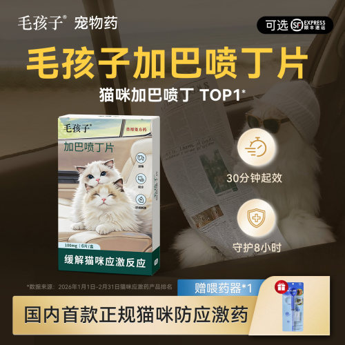 毛孩子加巴喷丁片猫咪猫用应激药