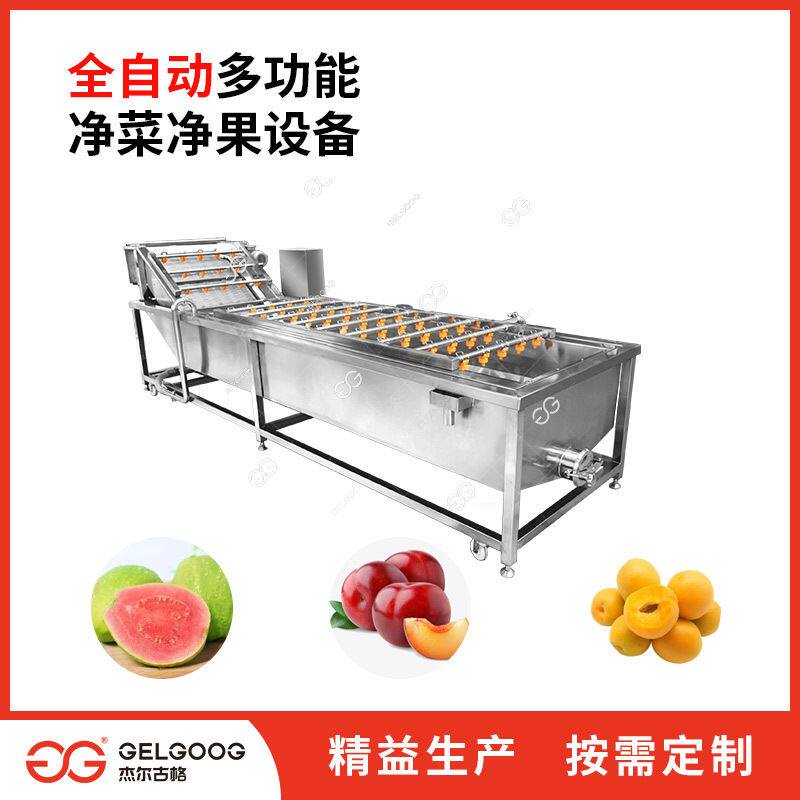 水果清洗分级风干设备 水果自动化清洗洗果生产线 黄杏子清洗机