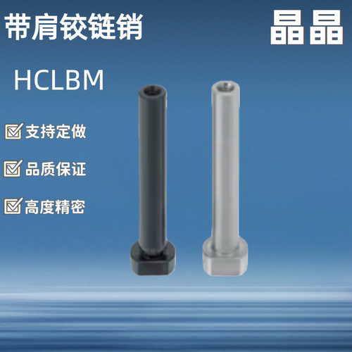 内螺纹带肩铰链销/ HCLBM SHCLBM6 8 10 12 15 16 20-15 20 25 30