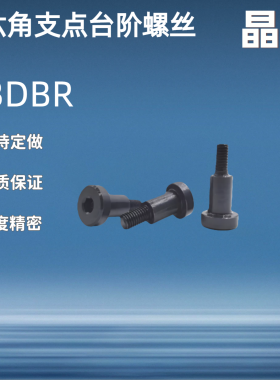 内六角支点台阶螺丝 CBDBR FCBDBR8 10 12-5 6 7 8 9 10 12 15 20