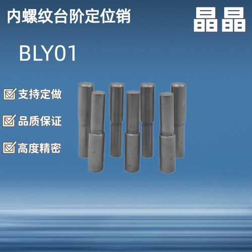 MSFW台阶定位销 圆柱销/ BLY01 BLY21-D5 6 8 10 13-L15 20 25 30