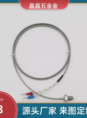 MSNDM6-1/8-2/3/05/11/07MSNDS4/C-MSNDPM5热电偶ZKP01温度传感器