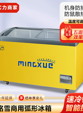 铭雪商用冰箱弧形玻璃移门冰柜雪糕冰激淋柜海鲜展示柜超市冷柜