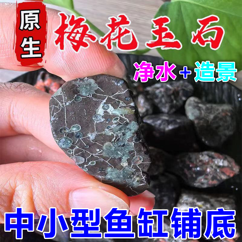 鱼缸底部砂石梅花石造景石梅花玉净水底沙乌龟晒台爬台石头子铺底
