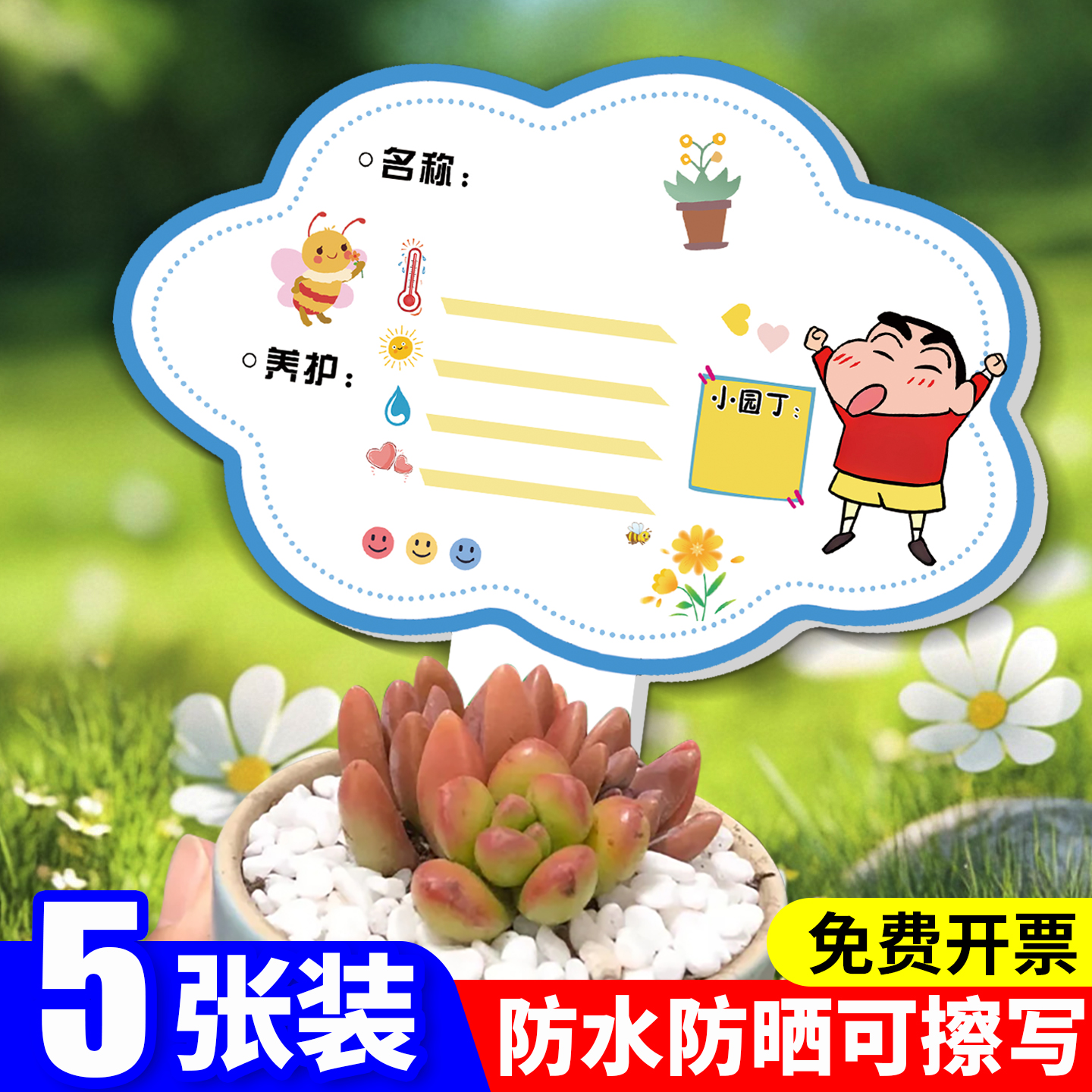 植物标签插牌幼儿园绿植养护卡片