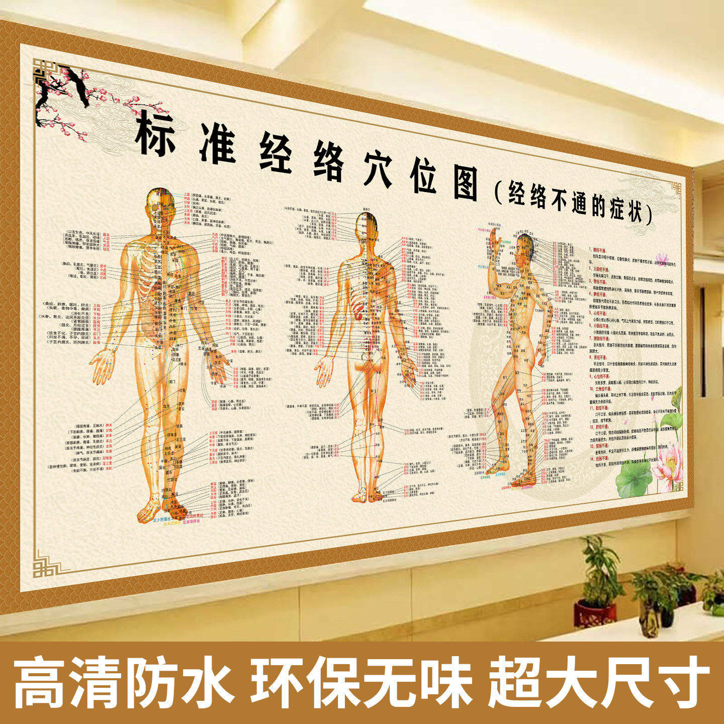 养生海报图人体经络穴位标准大图册中医馆装饰挂画养生馆背景装饰