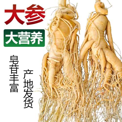 长白山人参东北特产吉林人参产地发货鲜参泡酒煲汤药材滋补养生