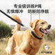 狗狗牵引绳中型大型犬金毛狗绳子防咬断拉布拉多狗链子脖圈p绳p链