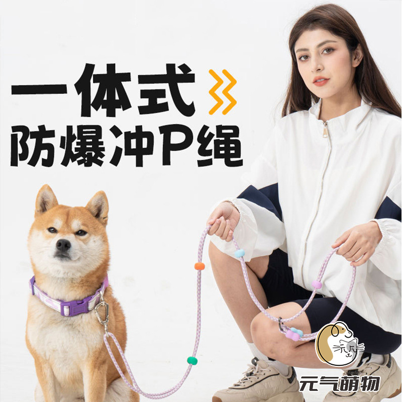 p链p绳狗狗牵引绳防爆冲打结