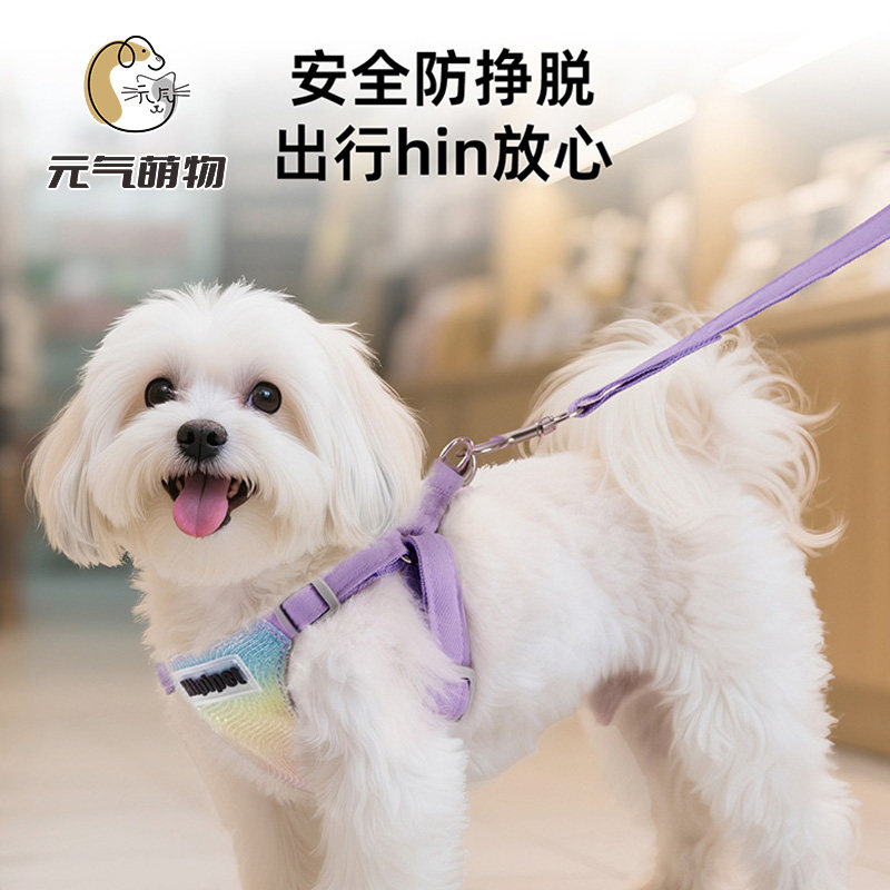 中小型犬反光背心式胸背牵引绳图片