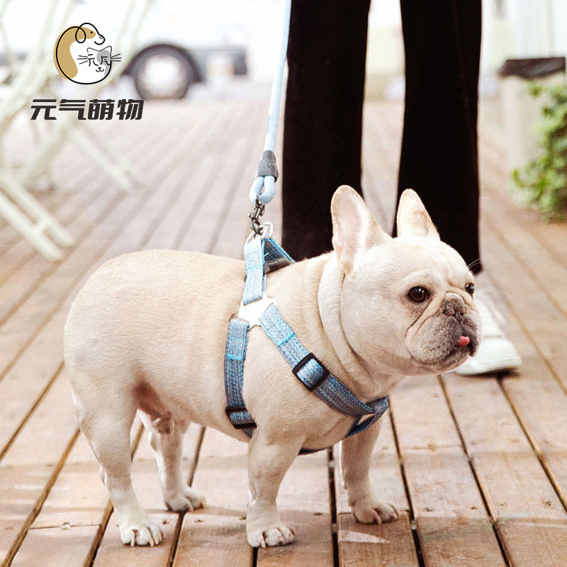 狗狗牵引绳遛狗绳溜狗链子项圈栓狗绳小型犬泰迪博美网红宠物用品