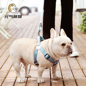 狗狗牵引绳遛狗绳溜狗链子项圈栓狗绳小型犬泰迪博美网红宠物用品