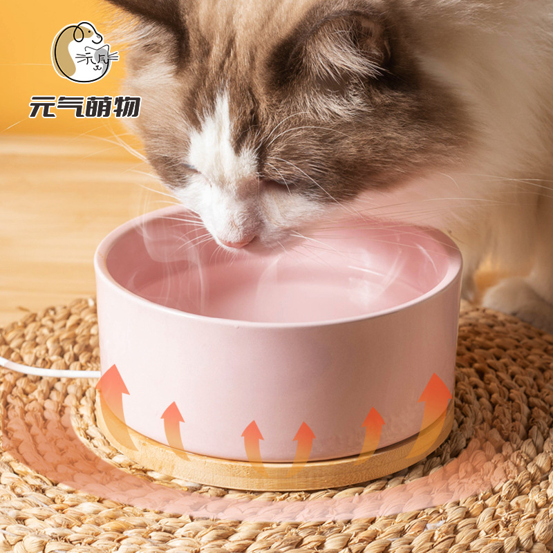 猫碗陶瓷恒温加热猫碗