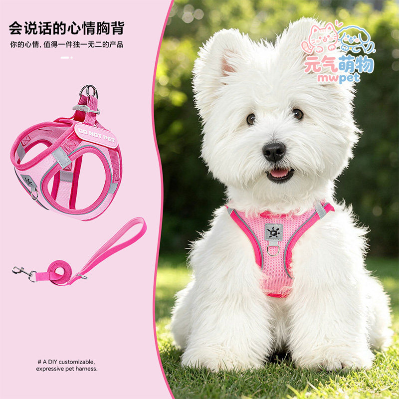 背心式小型犬狗狗牵引绳比熊泰迪博美小狗幼犬夏季网眼透气胸背带