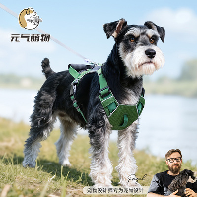 狗狗牵引绳小型犬背心式胸背带