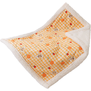 加厚羊羔绒秋冬季狗狗可爱小熊卡通宠物毛毯猫咪被子垫子泰迪毯子