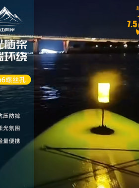 自由海岸夜晚野浆板安全醒目灯桨板夜划防水灯