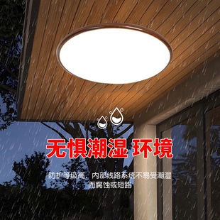 室外阳台吸顶灯屋檐走廊自建房别墅大门口入户门厅户外防潮防虫灯