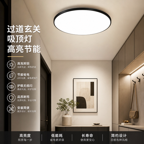 H过道走廊玄关换鞋照明吸顶灯led三防吸顶灯防潮防尘阳台卧室餐厅