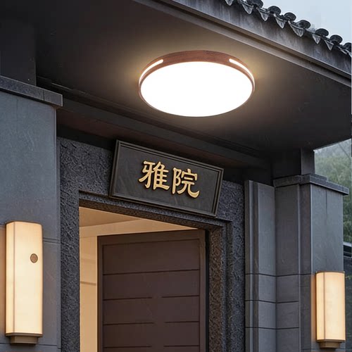 别墅大门口吸顶灯农村自建房庭院屋檐入户门阳台室外防潮防虫灯具