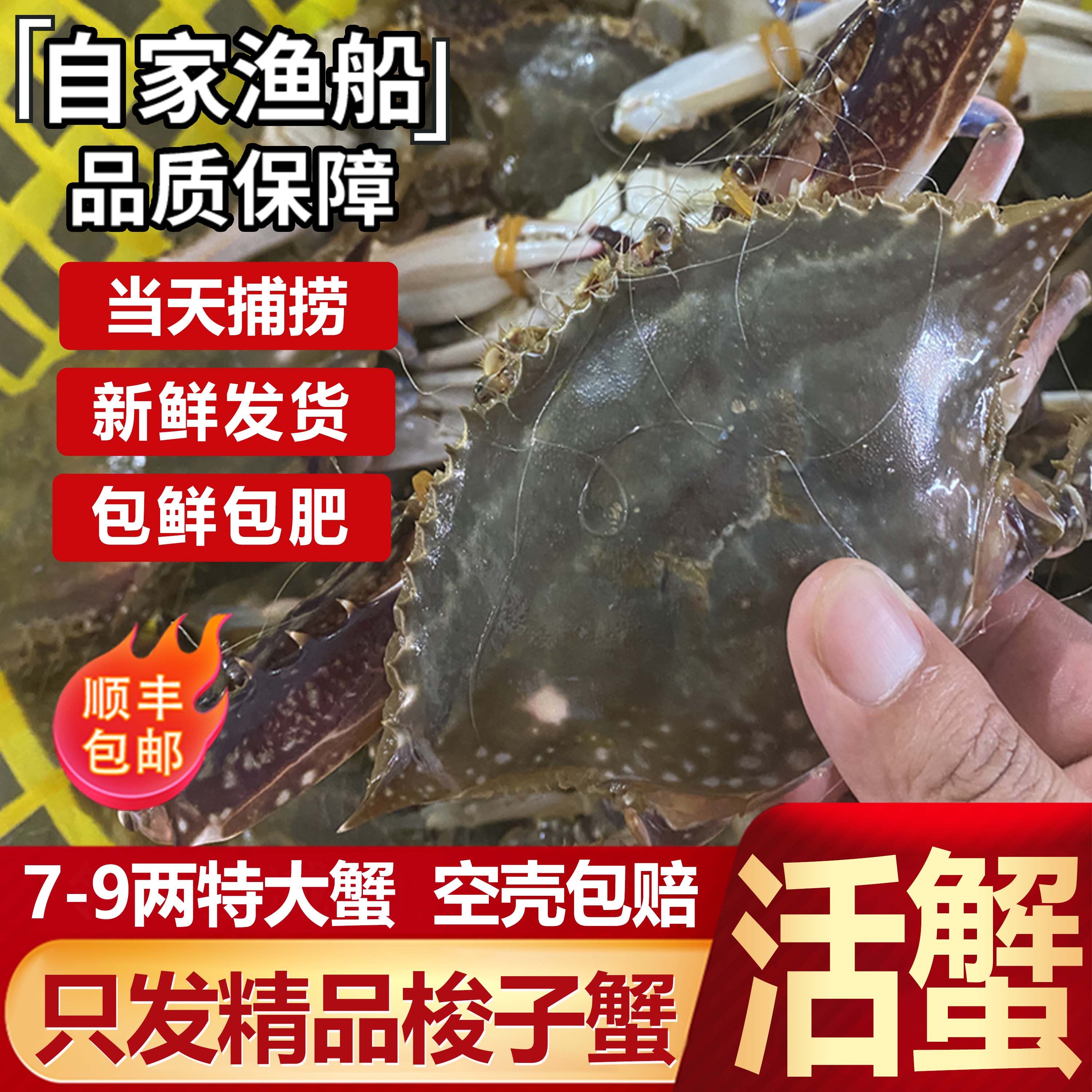 【保鲜不保活】舟山螃蟹梭子蟹大白蟹海鲜水产新鲜野生公蟹飞蟹,水产肉类/新鲜蔬果/熟食,梭子蟹,淘宝优惠券,粉丝福利购,淘宝优惠卷
