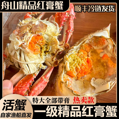 舟山活梭子蟹红膏蟹可清蒸