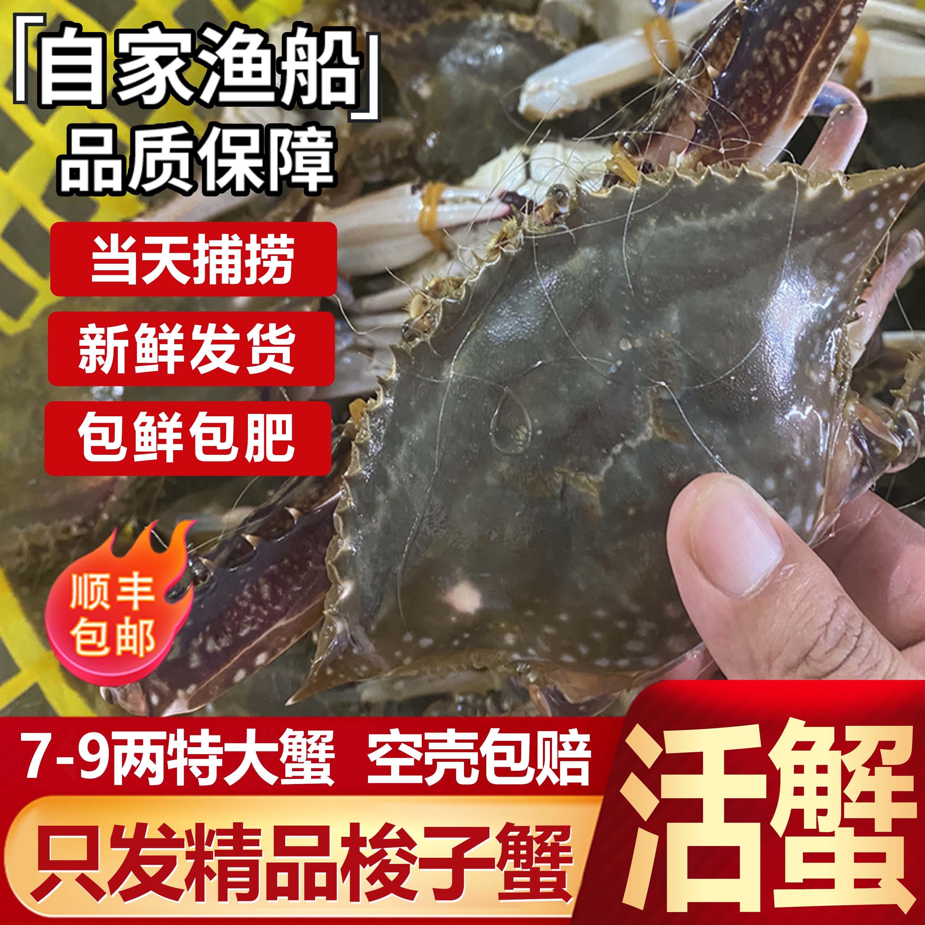 舟山新鲜梭子蟹评价“很新鲜”