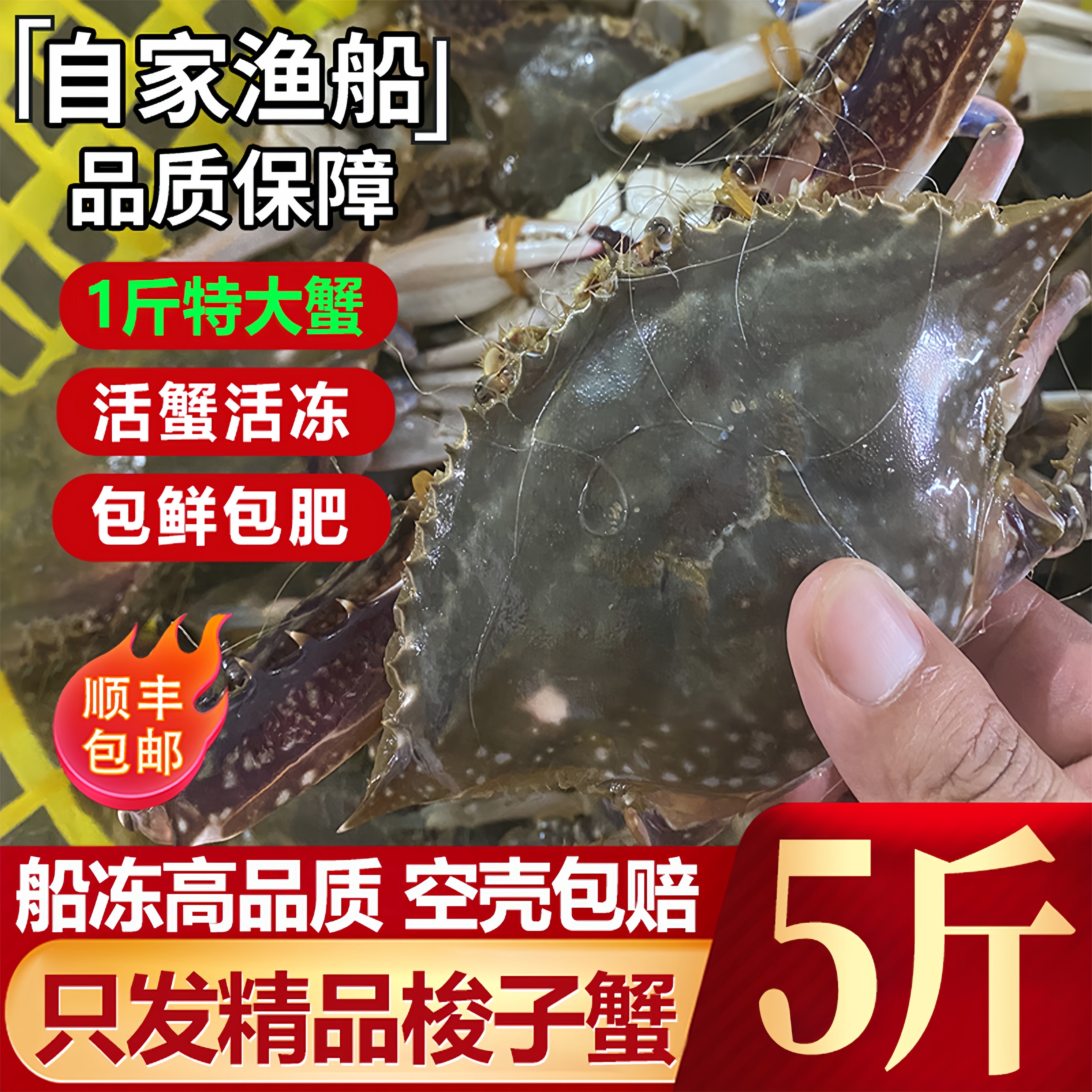 【冻蟹】舟山螃蟹梭子蟹冷冻大白蟹海鲜水产新鲜野生公蟹飞蟹母蟹