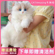 【爆款】网红同款仿真猫咪布偶玩偶娃娃仿生陪伴背包小猫猫安抚生