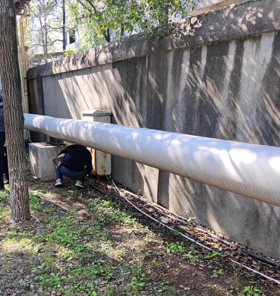 3月29日吉安市乳业公司苗木、构筑物及其他设备设施网络拍卖公告