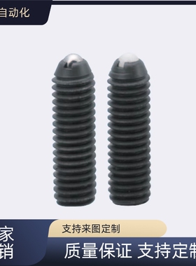 替代  BPSL/NPJR/NSWL/BPWL/BPJL/NPSL/NSJL6加长型球头柱塞