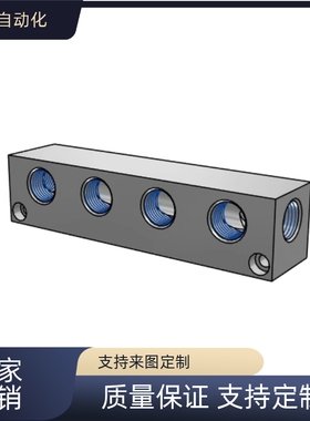 替代   BMSLN2/3/4/5/6 -23/24/33/44 BTLA2  歧管块