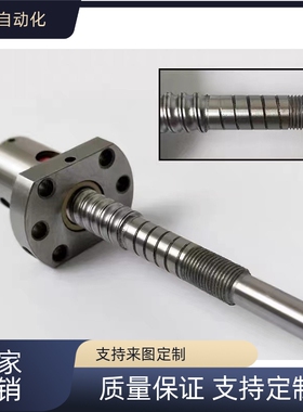 滚珠丝杠LCE49 LCF49 LCG49 BSBR BSBRK方螺母型丝杠