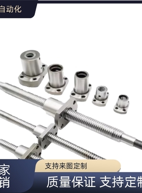 替代 BSSC2005 2010 BSSCK BSSE1505 1510 1520-150滚珠丝杆