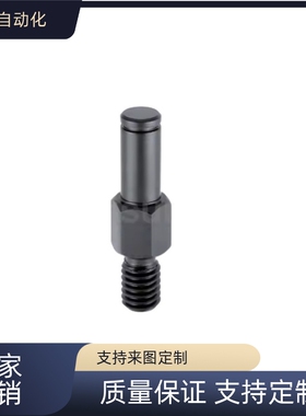 替代    LXAA PLXAA SLXAA3 4 5 6 8 10-F  悬臂销  六角型