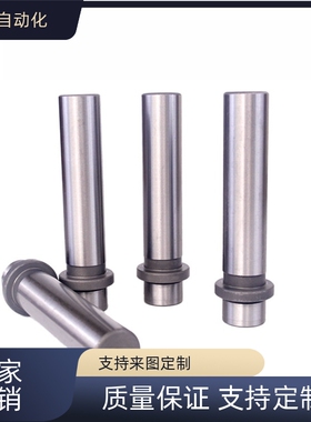 MRP配合LDBZ/GGBW/GBZE 汽车模配件BRPM BRPK 模架用内导柱