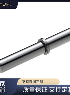 卸料板十字攻牙导柱导套 TGPW高精度导柱SGPW内导柱 SGPWH