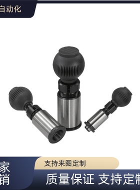 旋钮柱塞分割式定位柱锁销ZAC65/ZAC66精密分度销圆柱顶销 03186