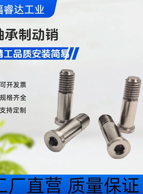 BGP轴承止动销 BGPM10 12-15 16 17 18-L20 L25 L30 L40 L50 60