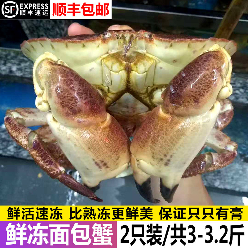 生冻面包蟹海鲜水产鲜活进口深海大螃蟹帝王蟹珍宝蟹松叶蟹长脚蟹
