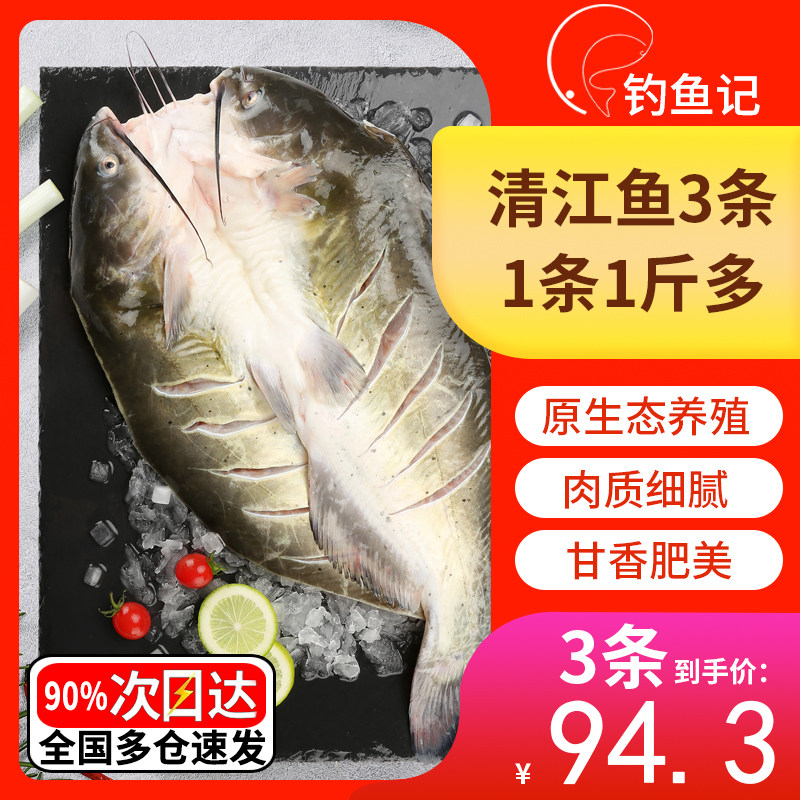 钓鱼记叉尾鮰鱼方便清江鱼快手菜