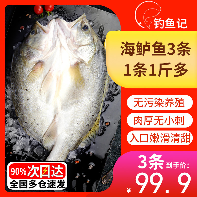 钓鱼记白蕉海鲈鱼三去开背净膛
