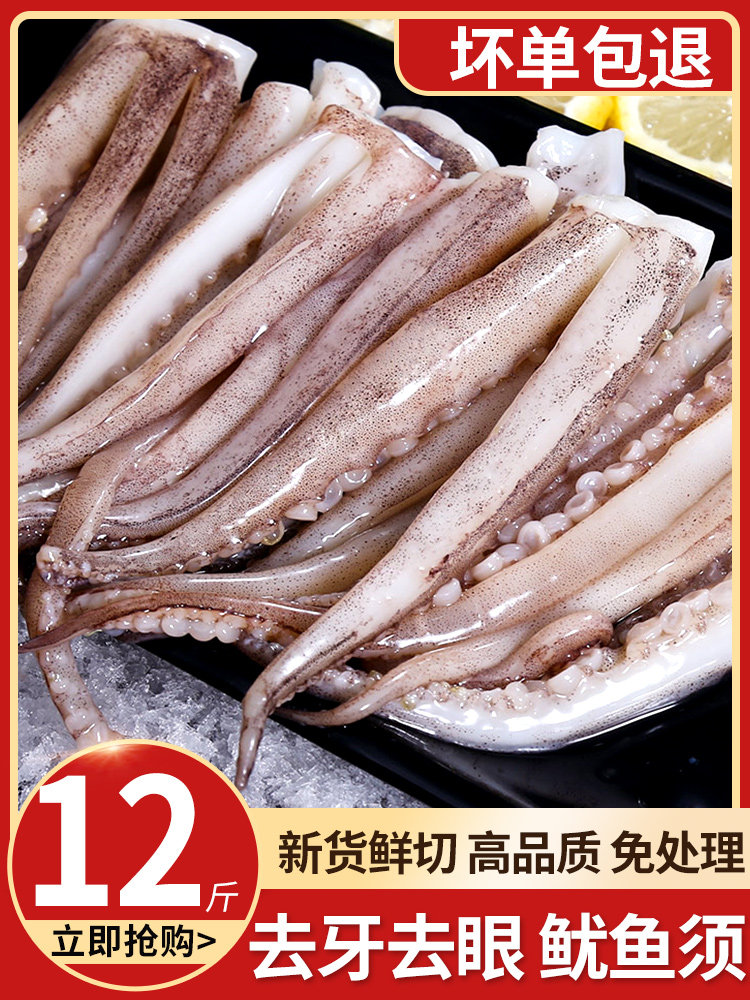 新鲜鱿鱼须大鱿鱼鲜活冷冻生鲜鱿鱼头尤鱼须鱿鱼串腿铁板烧烤商用怎么看?