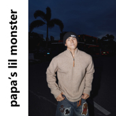 英伦风针织开衫 PAPASLILMONSTER 美式 fit 拉链立领毛衣 Clean