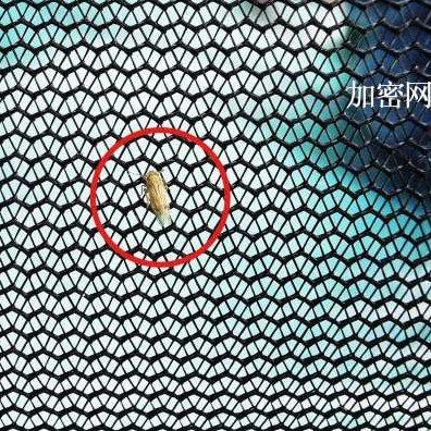 包邮超大46人用全自动户外沙滩帐篷野外便携海边快开度假遮阳蓬