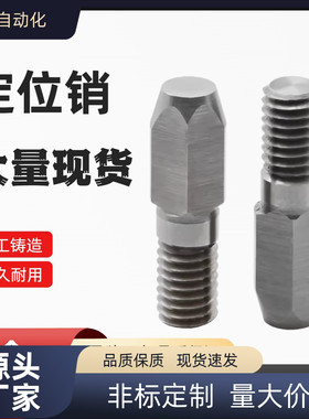 大头锥角内螺纹销/多棱销 YBU01 11 02 12 03 16 20 18 10 43-D-P