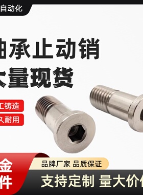 BGP BGPM10 12-15 16 17 18-L20 L25 L30 L40 L50 L60 轴承止动销