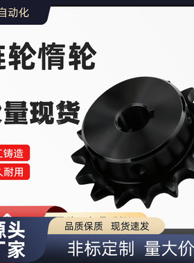 BSP SP60B14 15 16 17-N-19 20 22 24 25 28 30 32 35 38 40 链轮