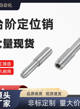 台阶定位销 BLY01 02 03 D5 6 8 10 13 L15 20 25 30 35 40 45 55